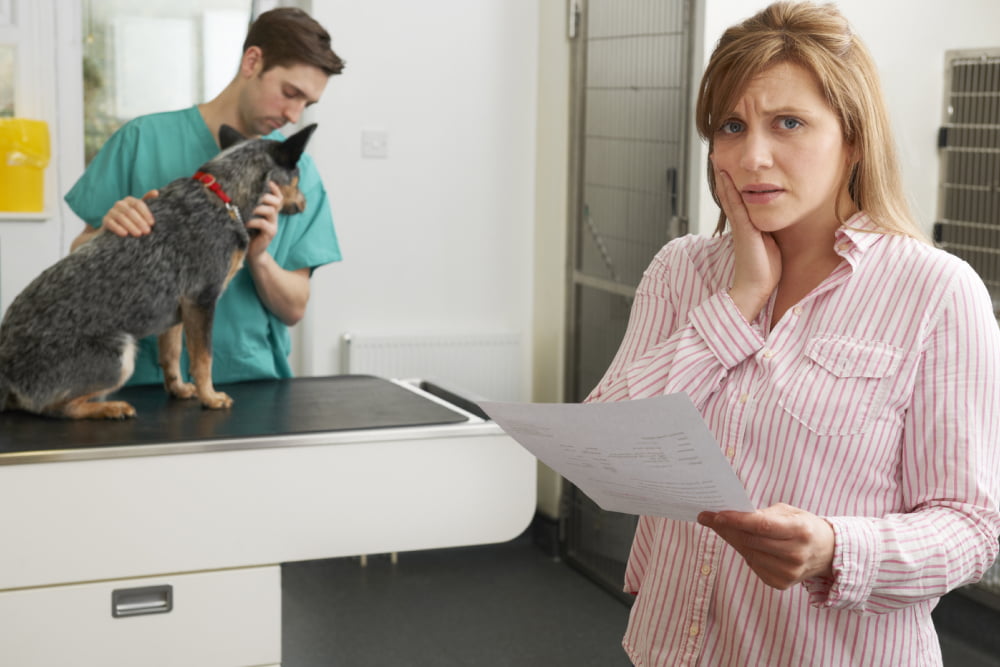 10 tips to save money on veterinary bills