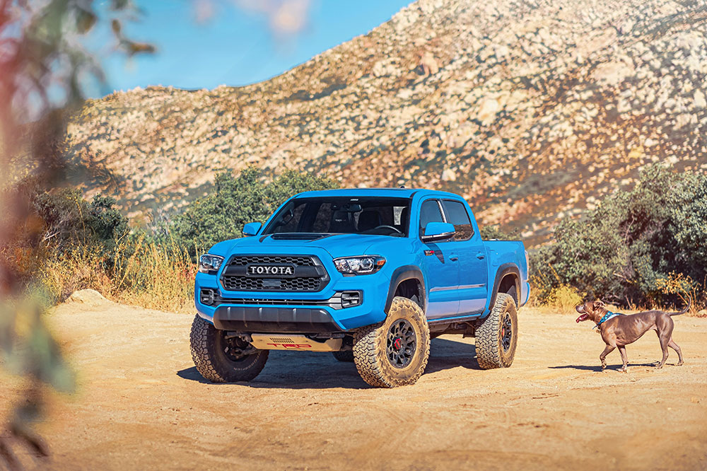 All you need to about the 2020 Toyota Tacoma